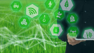 web3 AI sustainability