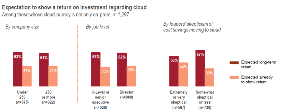 ROI expectations by company size, job role, and leaders' skepticism.