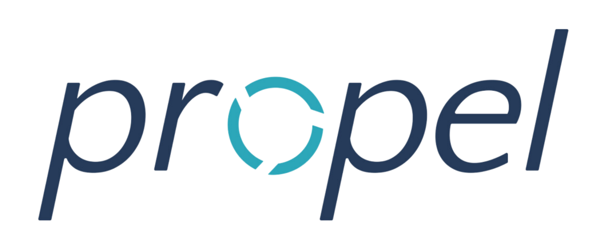 Proipel Propel Meets Customer Priorities with Product Lifecycle Management (PLM ...